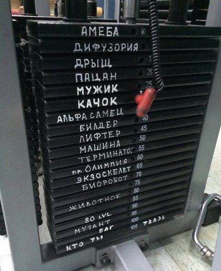 111 (1).jpg